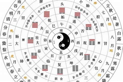 天的五行|天字的五行属什么